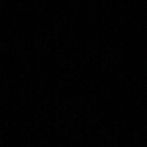 Meet your Posher, Rayna